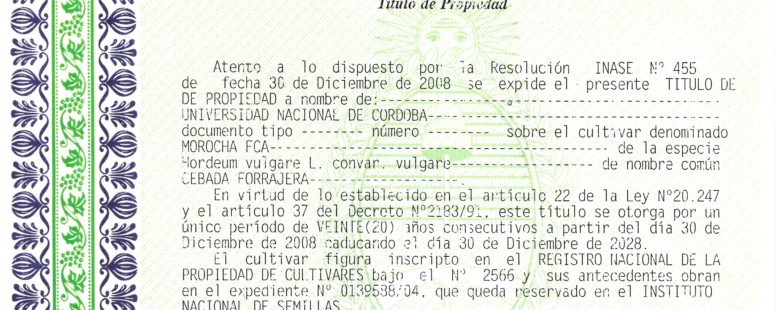 Cultivar-de-Cebada-forrajera-Hordeum-vulgare-L.-convar.-vulgare-Morocha-FCA-1