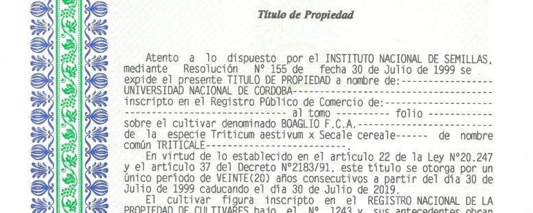 Cultivar-de-Triticale-Triticum-aestivum-x-Secale-cereale-Boraglio-FCA