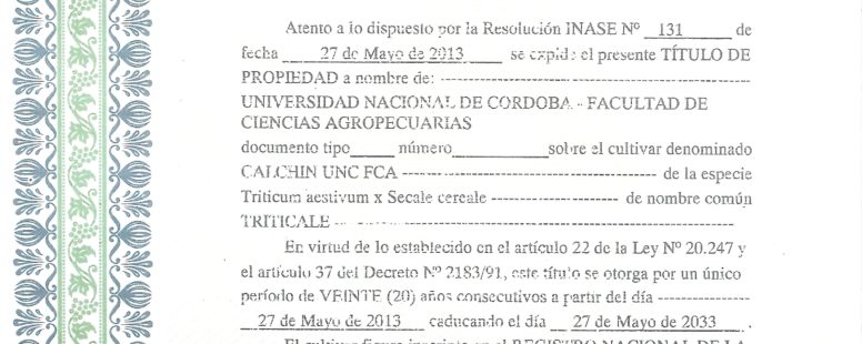 Triticale-Calchin-UNC-FCA